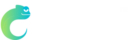 Betzest Casino
